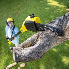 Best Aeration Services  in Westway, TX